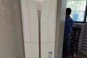 解析大金空调L5故障（大金空调L5故障的常见问题及解决方案）