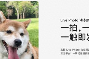 啧啧，微信刚刚这波更新，安卓鸿蒙又要傻眼了