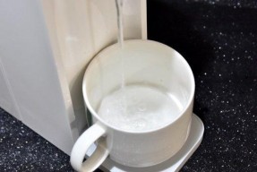 米家饮水机除垢技巧大揭秘（告别水垢问题）