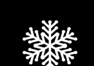 相机中制作雪花效果的方法是什么？如何增强照片艺术感？