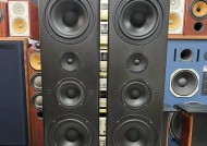 唢呐适合使用哪些大音箱？这些音箱的特点是什么？