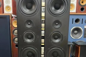 唢呐适合使用哪些大音箱？这些音箱的特点是什么？