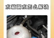 冷凝热水器漏水的原因及处理方法（解决冷凝热水器漏水问题的有效措施）