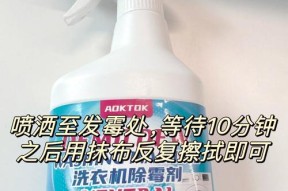 洗衣机皮圈发霉处理方法（有效清理洗衣机皮圈发霉的实用技巧）