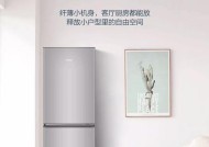 冰箱选购指南（哪个牌子最值得信赖）