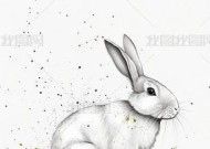 兔子绘画手机软件的正确名称是什么？