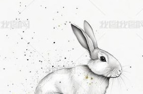 兔子绘画手机软件的正确名称是什么？