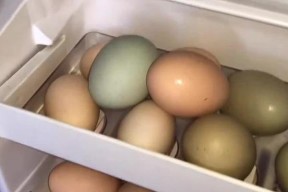 为什么不能清洗后将鸡蛋放入冰箱（保持鸡蛋的品质和安全的关键）