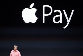 探讨ApplePay在中国推广困难的原因（解析ApplePay在中国市场发展的挑战与机遇）