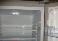 解决冰柜管道堵塞的方法及注意事项（冰柜管道堵塞清洗的步骤和技巧）