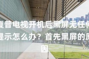 高清电视机开机黑屏问题解决方案（如何应对高清电视机开机后出现黑屏的情况）