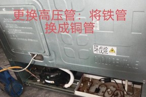 冰箱电源维修指南（轻松解决冰箱电源问题）
