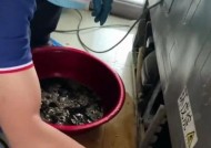 冰箱不冰的故障排除与修复方法（解决冰箱不制冷问题的实用技巧）