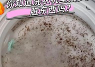 如何清洗洗衣机外壳上的污渍（简单有效的清洁方法和技巧）