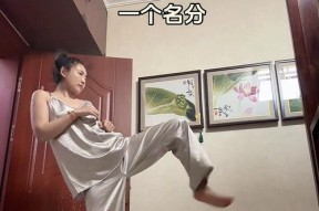 游戏机春丽角色的操作技巧是什么？