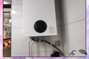 如何解决壁挂炉进水到室内的问题（有效解决室内壁挂炉进水问题，保障居住环境安全）