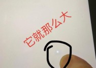 电脑显示器上出现白点（白点问题解决方法大揭秘）