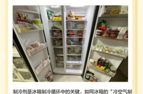 冰箱雪种泄露的原因及预防措施（揭开冰箱雪种泄露背后的真相，保障食品安全的重要性）