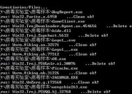 电脑中毒了怎么处理？（应对电脑病毒的有效方法）