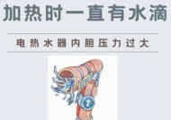 电热水器显示有电但不加热的原因及维修方法（为什么电热水器显示有电但不加热）