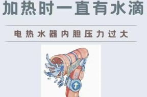 电热水器显示有电但不加热的原因及维修方法（为什么电热水器显示有电但不加热）
