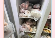如何处理发霉冰箱（有效清洁和防止冰箱发霉的方法）