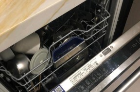 家庭洗碗机蟑螂驱除方法（简单有效的家用洗碗机清除蟑螂的方法）