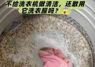山东滚筒洗衣机的清洗方法（让你的洗衣机保持高效清洁的秘籍）