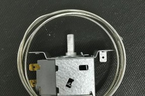 冰柜开关上出水的原因及解决方法（探究冰柜开关上出水的原因）
