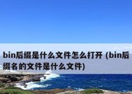 深入了解bin文件格式的特点和应用领域（揭开bin文件的神秘面纱）