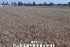 农机装上“智慧大脑”、无人机变身照明灯,科技助力“麦”向丰收