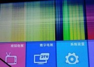 解决相机液晶显示器不亮的问题（如何修复相机液晶显示器黑屏）