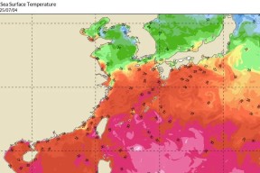 提高警惕！今年最大范围高温将来，台风丹娜丝基本锁定我国