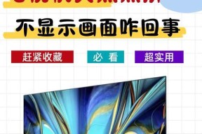 电脑显示器黑屏问题探究（分析黑屏原因及解决方法）