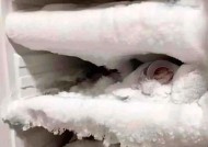 冰箱冷冻室门为何打不开（解决方法）