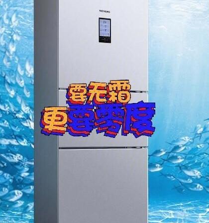 冰柜结霜的原因及解决方法（冰柜结霜严重的危害及对冰柜性能的影响）  第2张