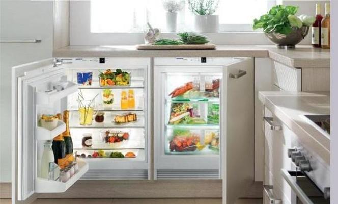 如何有效利用冰柜冬天冷藏食物不冻（冰柜保鲜秘籍）  第2张