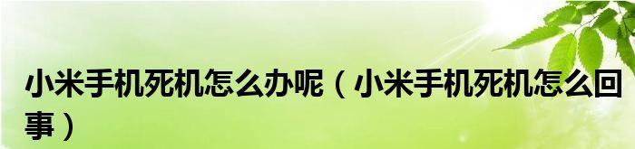 手机死机了怎么办（解决手机死机问题的方法及注意事项）  第3张