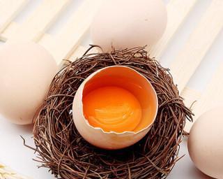 如何识别土鸡蛋的好坏（从外观到内部探秘）  第3张