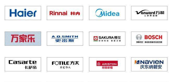 贝瑞塔壁挂炉故障及解决方法（贝瑞塔壁挂炉故障原因分析与维修技巧）  第1张