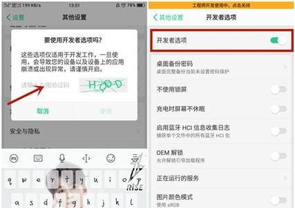 探秘OPPO手机开发者选项的隐藏之谜（解密OPPO手机开发者选项）  第1张