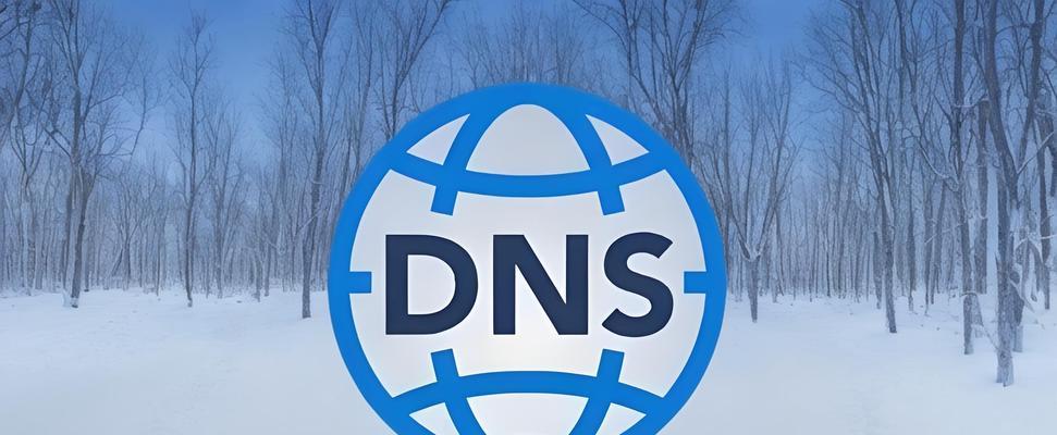 DNS网络服务器未响应？如何快速定位问题原因？  第3张