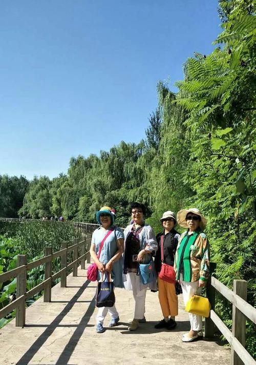 并蒂岛怎么通关？通关攻略有哪些常见问题解答？  第1张