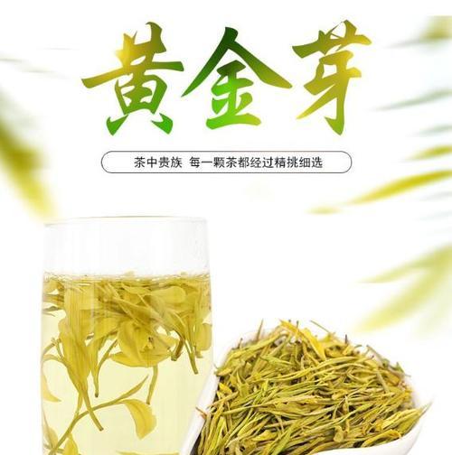 黄金芽有哪些独特特点？它对人体有哪些功效？  第2张