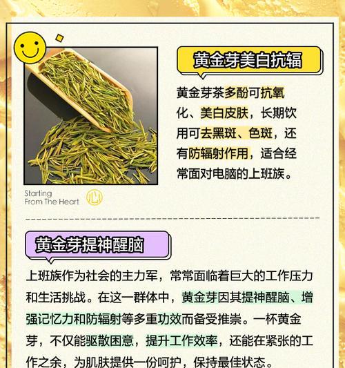 黄金芽有哪些独特特点？它对人体有哪些功效？  第3张