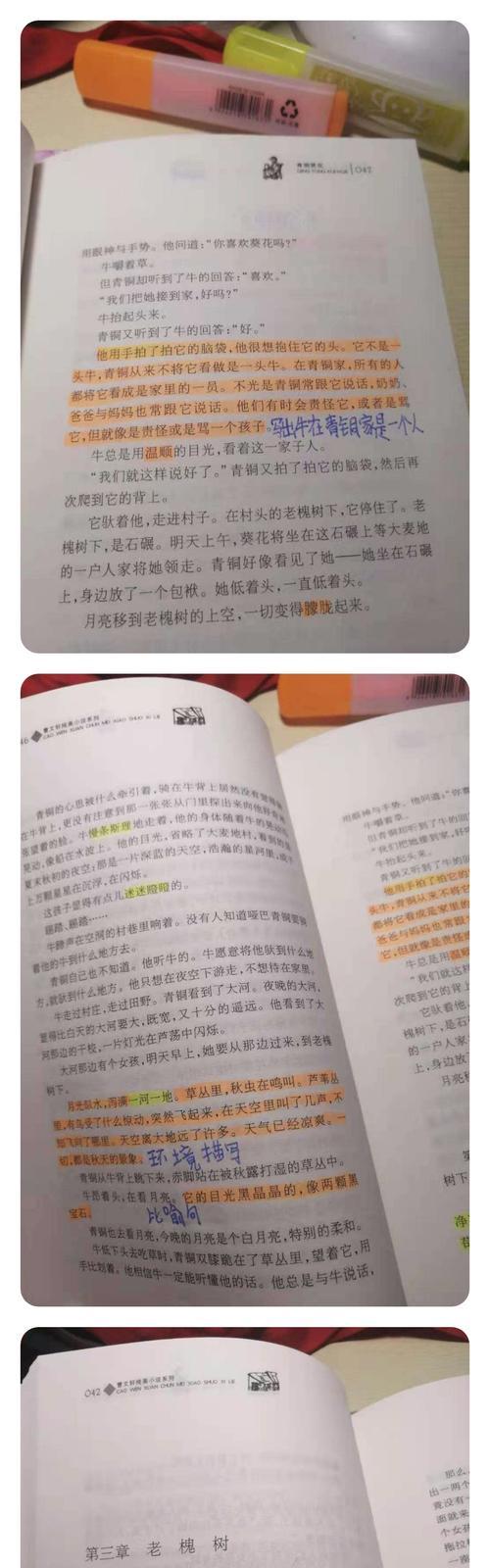 觅灵村全集章节数量是多少？各章节内容概览？  第1张