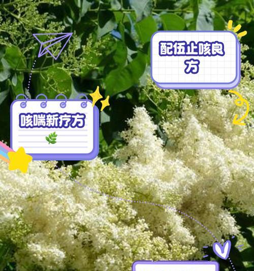 电脑发出马叫的声音怎么回事？可能是哪些原因导致的？  第1张