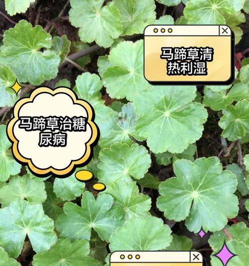 电脑发出马叫的声音怎么回事？可能是哪些原因导致的？  第3张