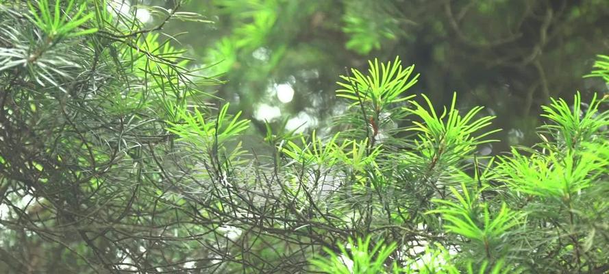 国宝电脑配置在知乎上的评价如何？值得购买吗？  第2张