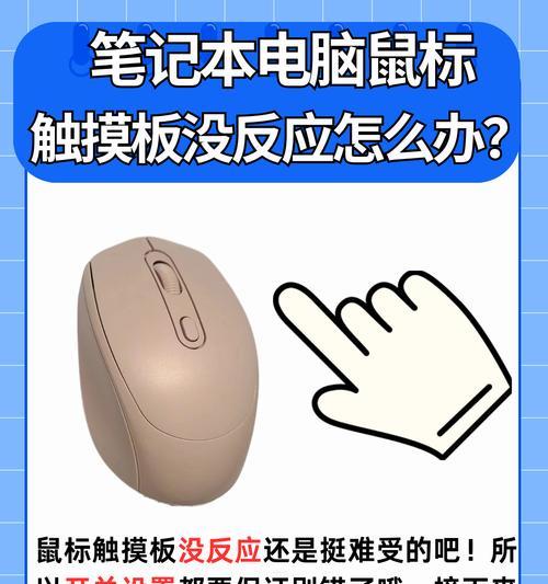 笔记本电脑触屏鼠标怎么拖动文件？操作步骤是什么？  第3张